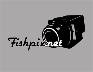 Logo Design by jorjonanca