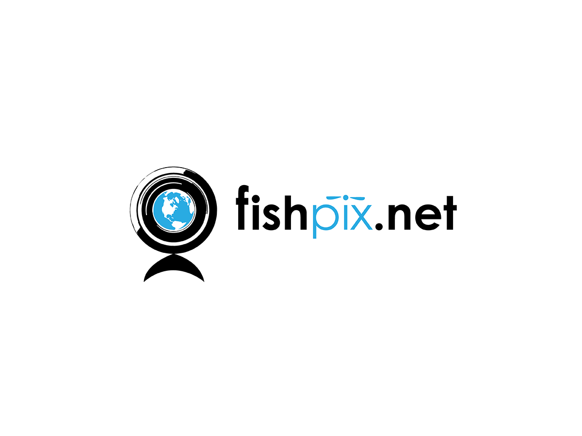Logo Design by Anuja Kanani for Airfirshy | Design #2152561
