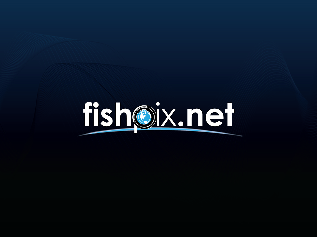 Diseño de Logo por Anuja Kanani para Airfirshy | Diseño #2153168