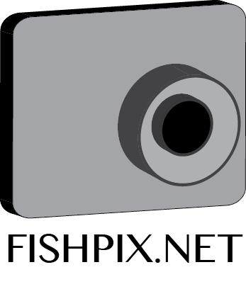 Diseño de Logo por Angelica  Madrid para Airfirshy | Diseño #2127650