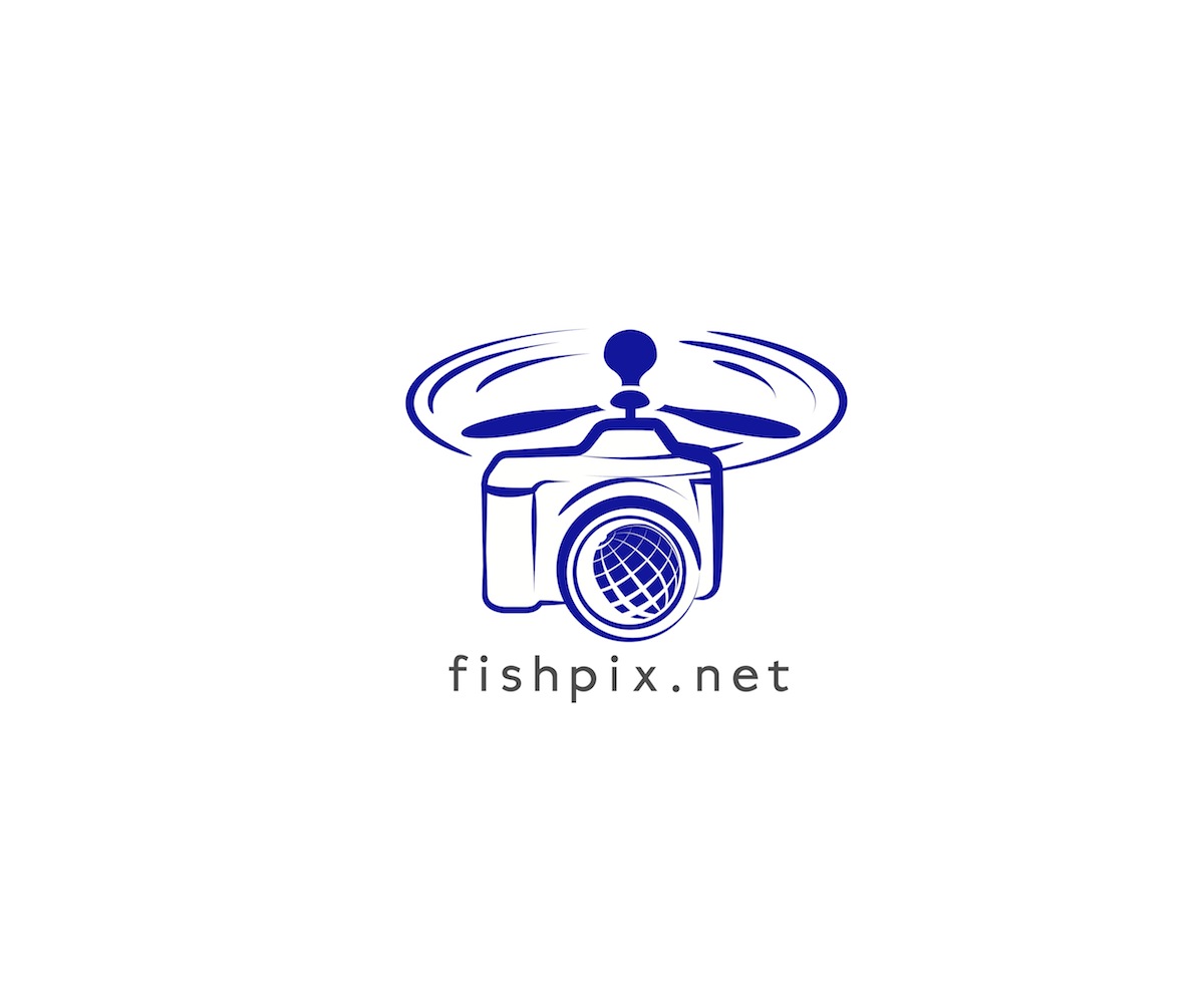 Diseño de Logo por PJS3design para Airfirshy | Diseño #2145960