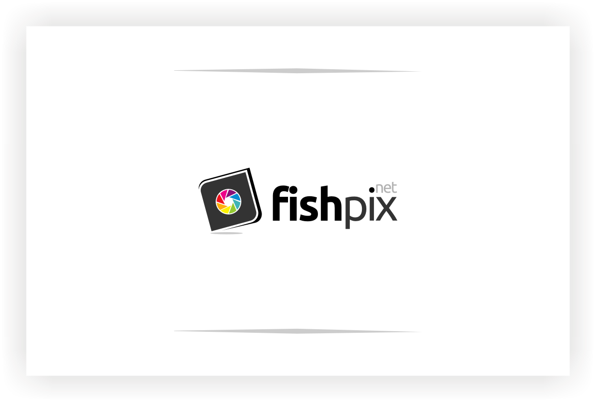 Logo Design by laceymosleyy for Airfirshy | Design #2185625