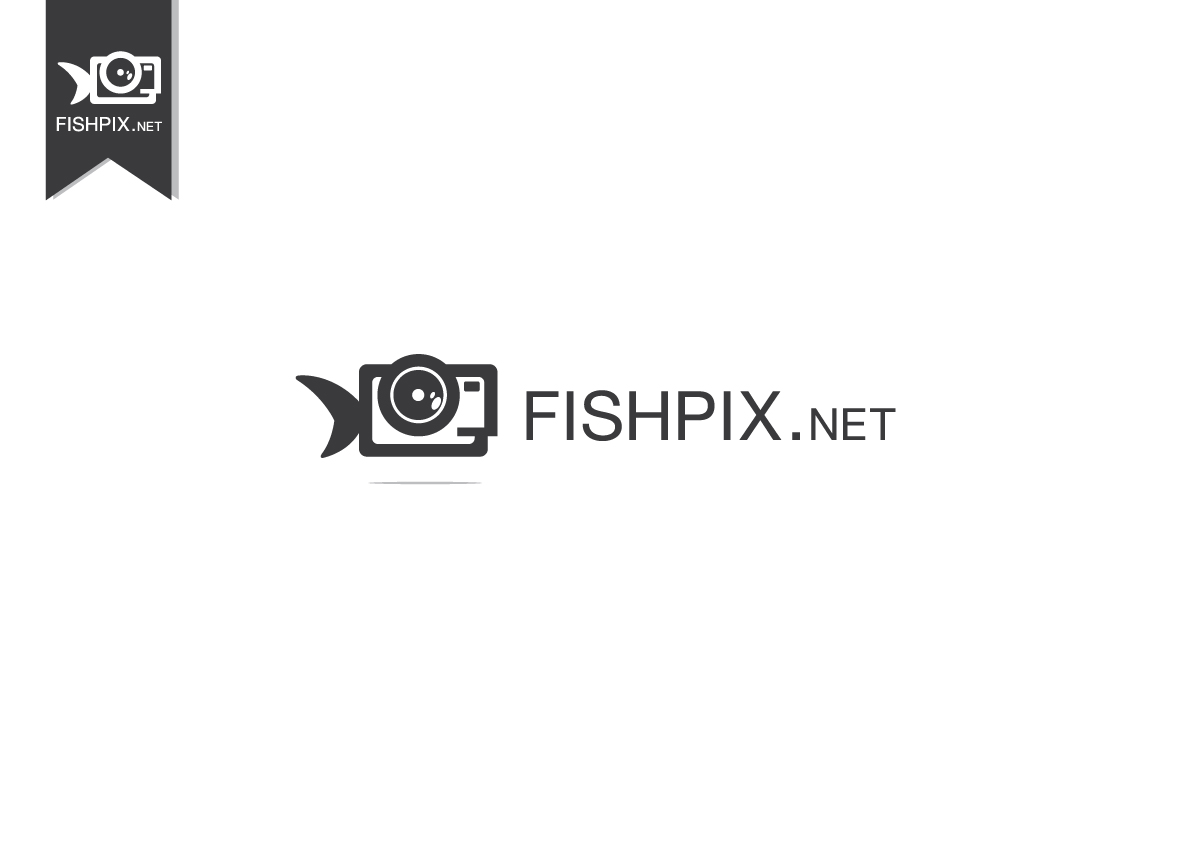 Logo Design by Mokora for Airfirshy | Design #2124014