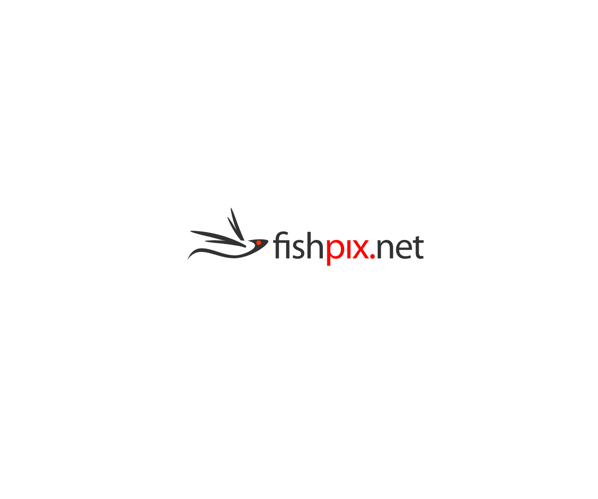 Logo Design by Natan for Airfirshy | Design #2120964