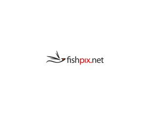 Logo Design by Natan for Airfirshy | Design #2120964