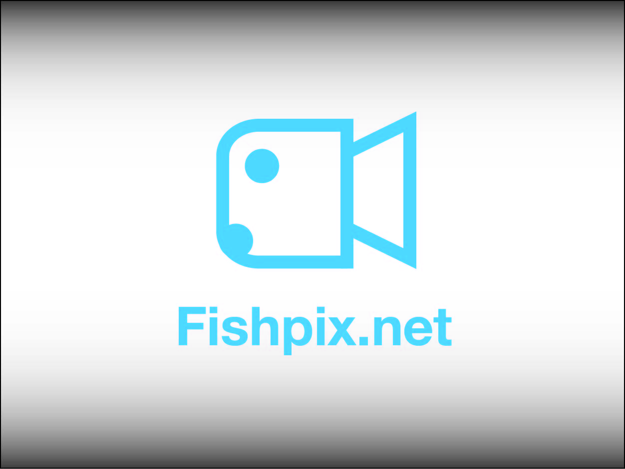 Logo Design by heygareth for Airfirshy | Design #2119954