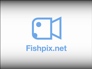 Logo Design by heygareth