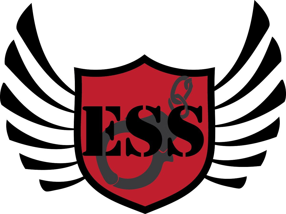 Diseño de Logo por Amzy para ESS Security | Diseño #2125754