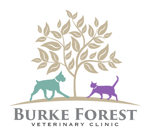 Logo Design by TSEdesign for this project | Design #9852715