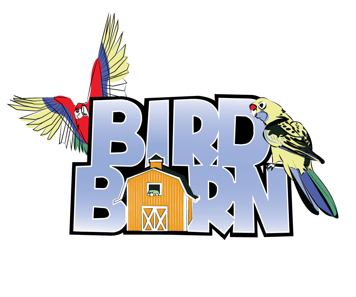 Logo Design by Scotty Radford for Rush Digital PTY LTD | Design #2126535