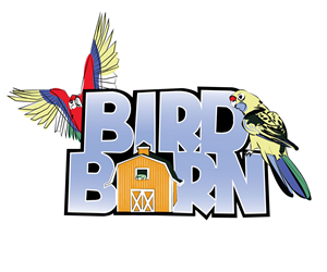 Logo Design by Scotty Radford for Rush Digital PTY LTD | Design: #2126535