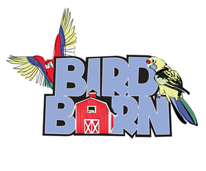 Logo Design by Scotty Radford for Rush Digital PTY LTD | Design: #2126598