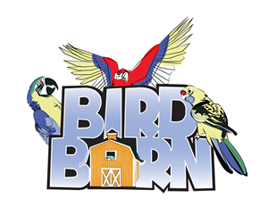 Logo Design by Scotty Radford for Rush Digital PTY LTD | Design: #2126721