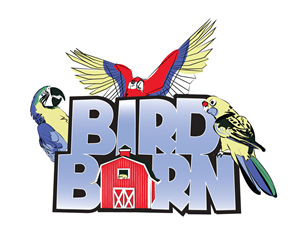 Logo Design by Scotty Radford for Rush Digital PTY LTD | Design: #2126731