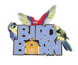 Logo Design by Scotty Radford for Rush Digital PTY LTD | Design: #2126743