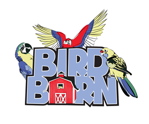 Logo Design by Scotty Radford for Rush Digital PTY LTD | Design: #2126749