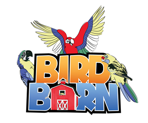 Logo Design by Scotty Radford for Rush Digital PTY LTD | Design: #2140448