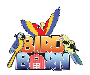 Logo Design by Scotty Radford