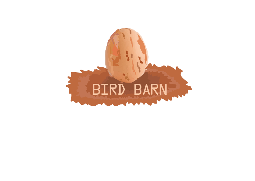 Design de Logo par Srfc pour Rush Digital PTY LTD | Design #2144912