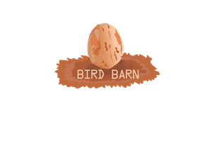 Logo Design by Srfc for Rush Digital PTY LTD | Design: #2144912