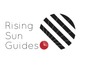 Logo Design by Eszter Kisgyorgy