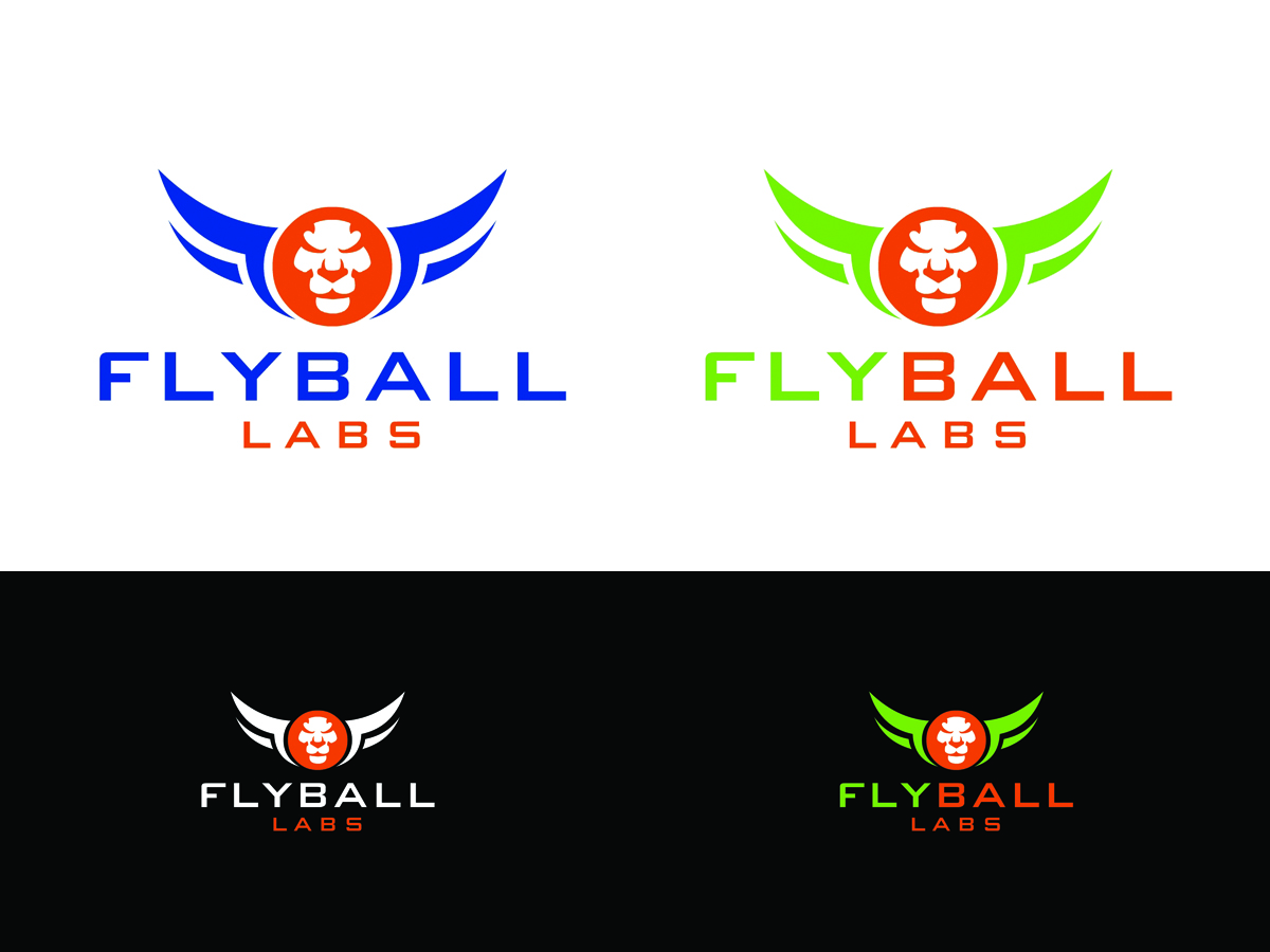 Logo Design by protikrdesigner for Flyball Technical Solutions | Design #9838055