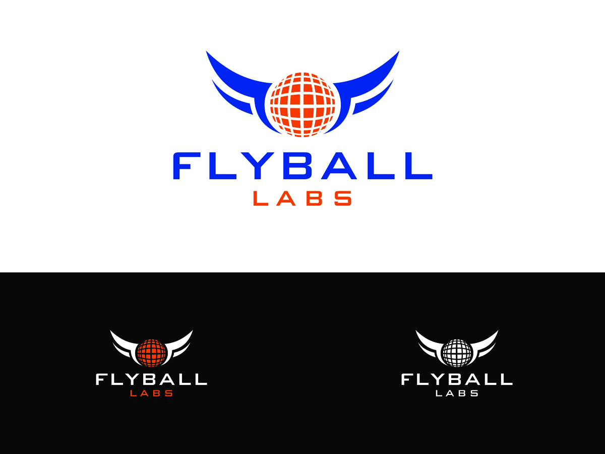 Design de Logo par protikrdesigner pour Flyball Technical Solutions | Design #9838323