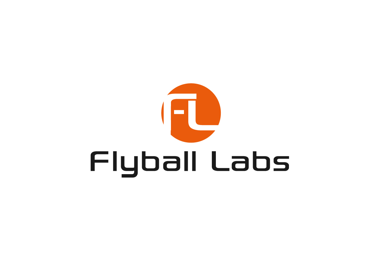 Logo Design by creative.bugs for Flyball Technical Solutions | Design: #9834049