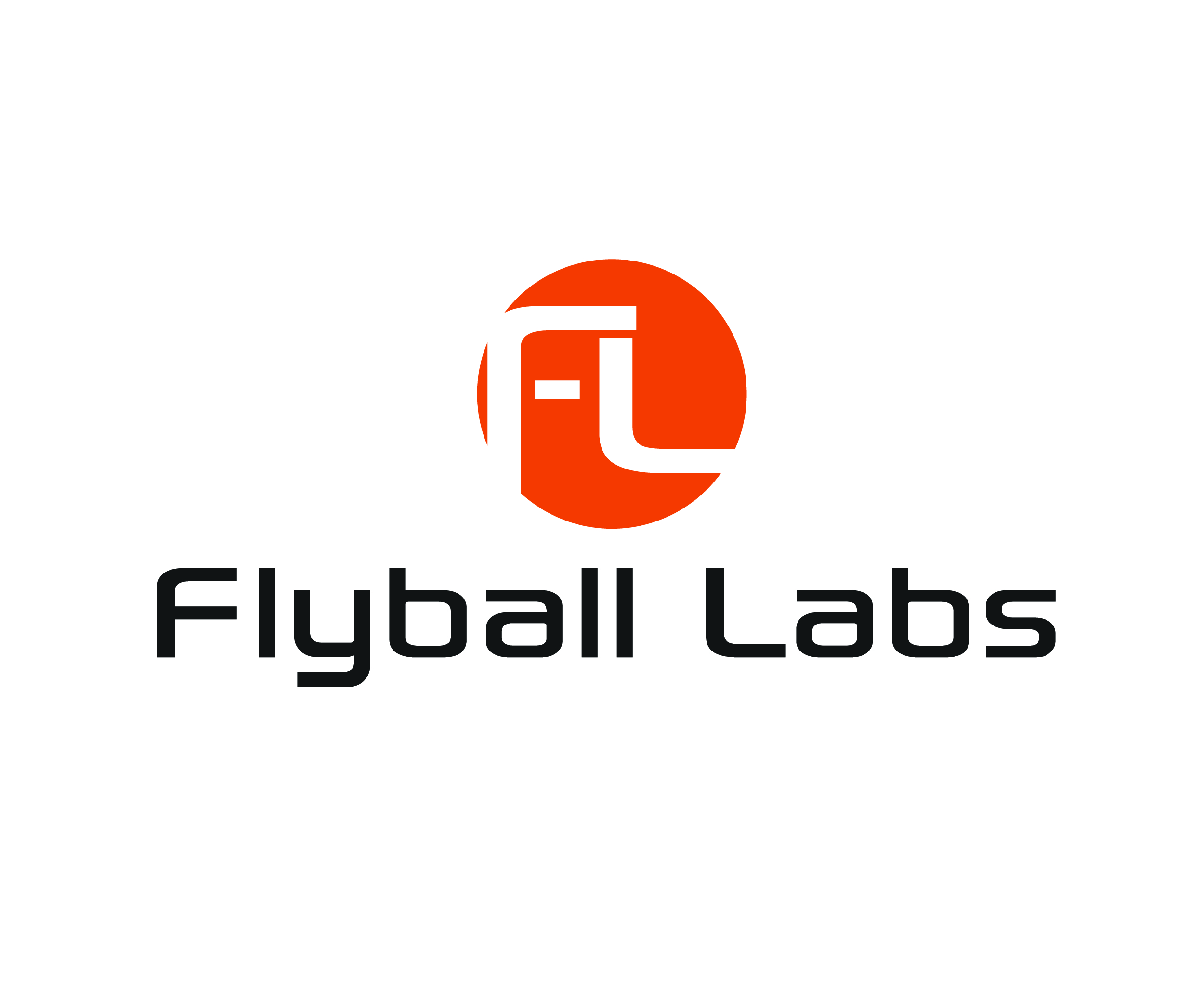 Logo Design by creative.bugs for Flyball Technical Solutions | Design #9865810