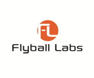 Logo Design by creative.bugs for Flyball Technical Solutions | Design: #9865810