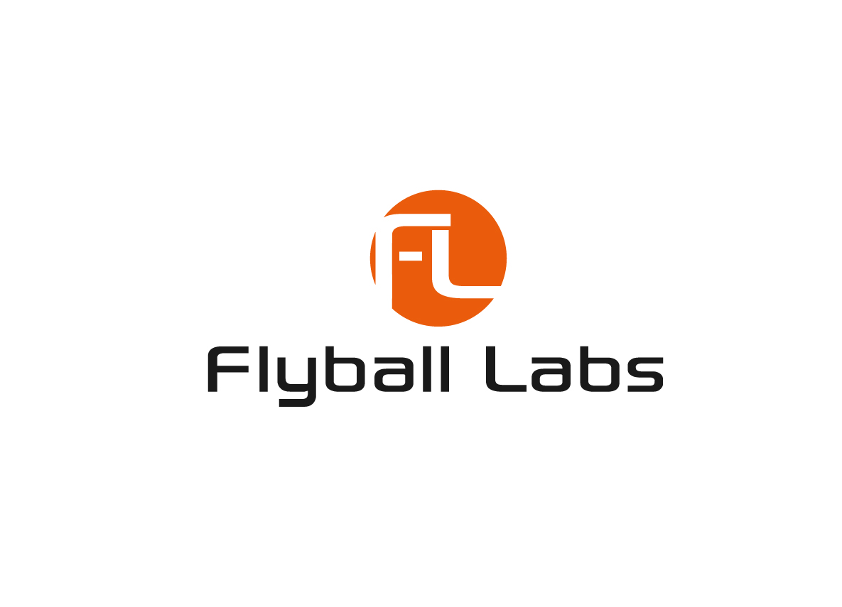 Logo Design by creative.bugs for Flyball Technical Solutions | Design #9865811