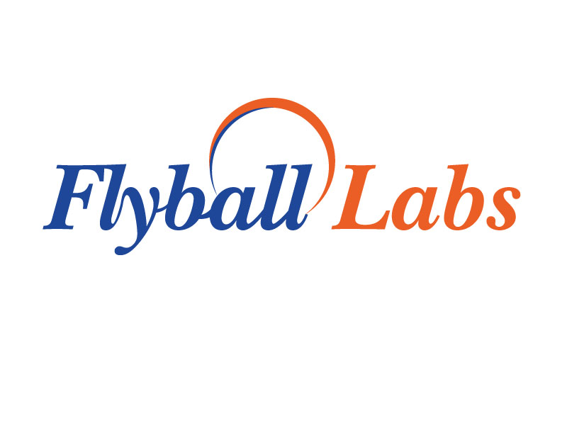 Logo Design by ihossain14091992 for Flyball Technical Solutions | Design #9830557