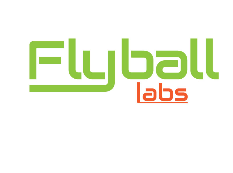 Design de Logo par ihossain14091992 pour Flyball Technical Solutions | Design #9830715