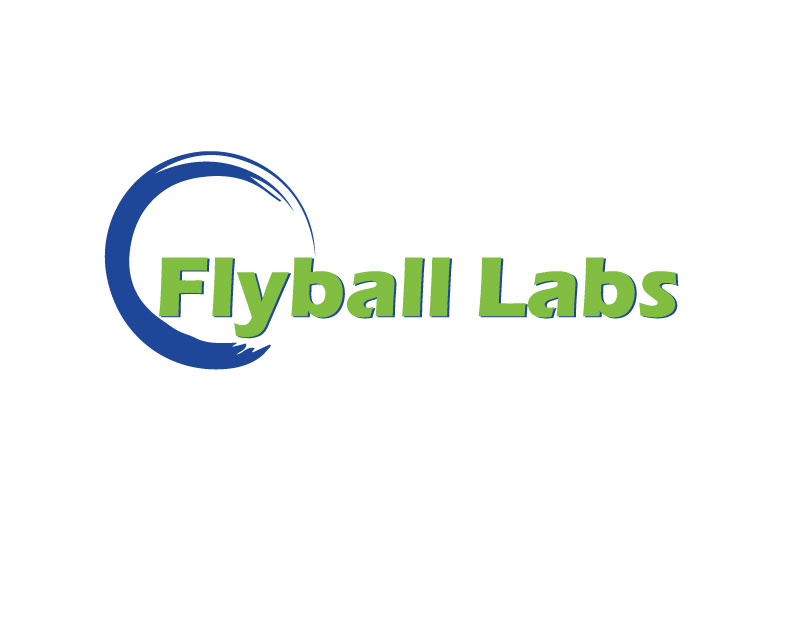 Design de Logo par ihossain14091992 pour Flyball Technical Solutions | Design #9830843