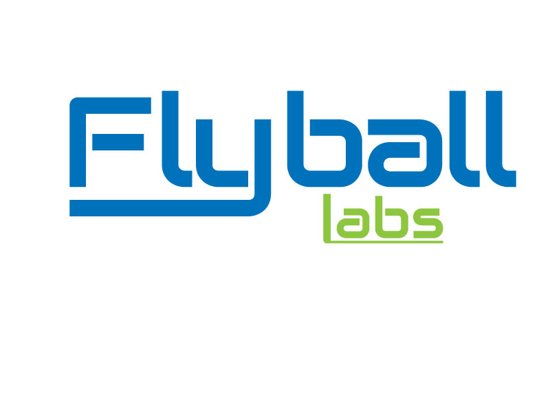 Design de Logo par ihossain14091992 pour Flyball Technical Solutions | Design #9830868