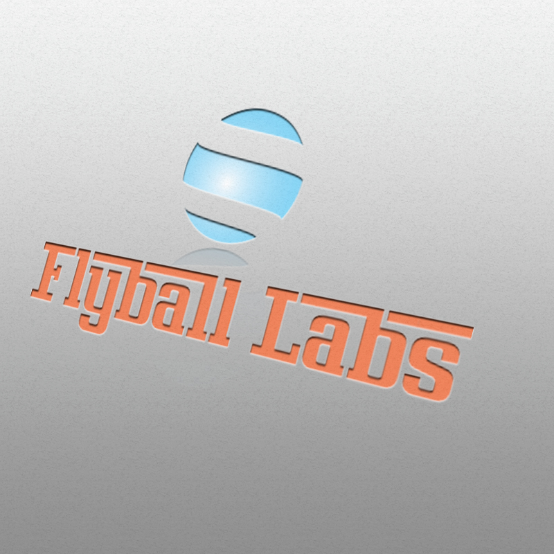 Design de Logo par sislam30031991 pour Flyball Technical Solutions | Design #9830611