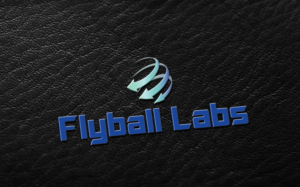 Logo-Design von sislam30031991 für Flyball Technical Solutions | Design: #9830612