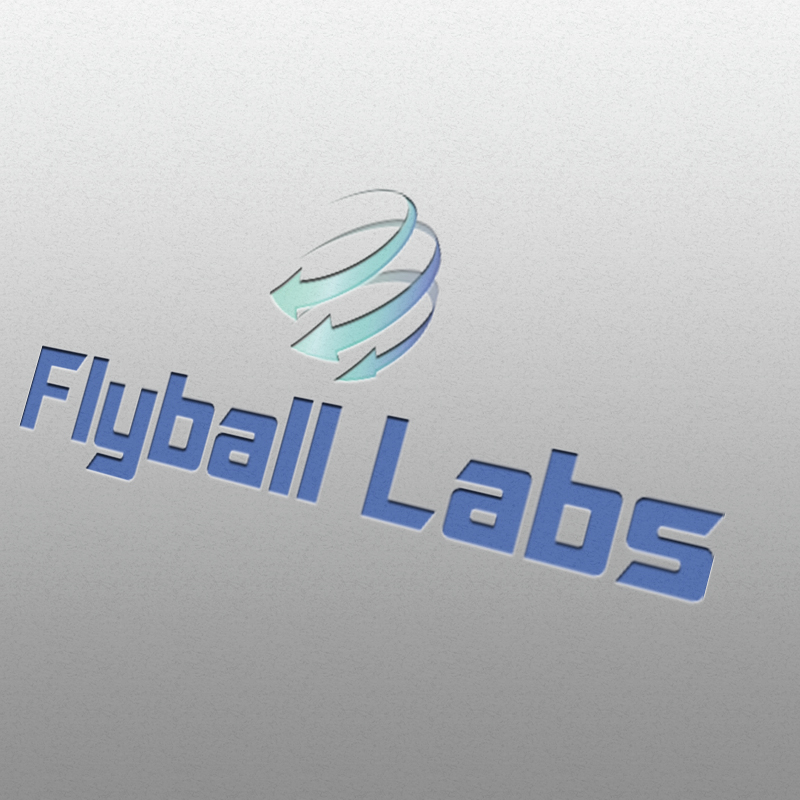 Logo Design by sislam30031991 for Flyball Technical Solutions | Design #9830620