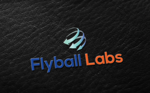 Logo Design by sislam30031991 for Flyball Technical Solutions | Design: #9830624