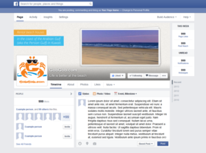 Facebook Design by lionx