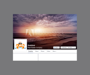 Design Facebook par raph pour ce projet | Design : #9919091