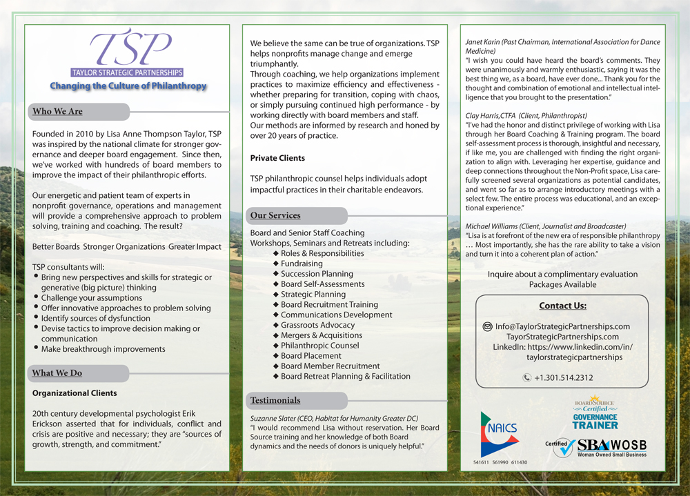 Flyer Design by mari for Taylor Strategic Partnerships, LLC | Design #9877111