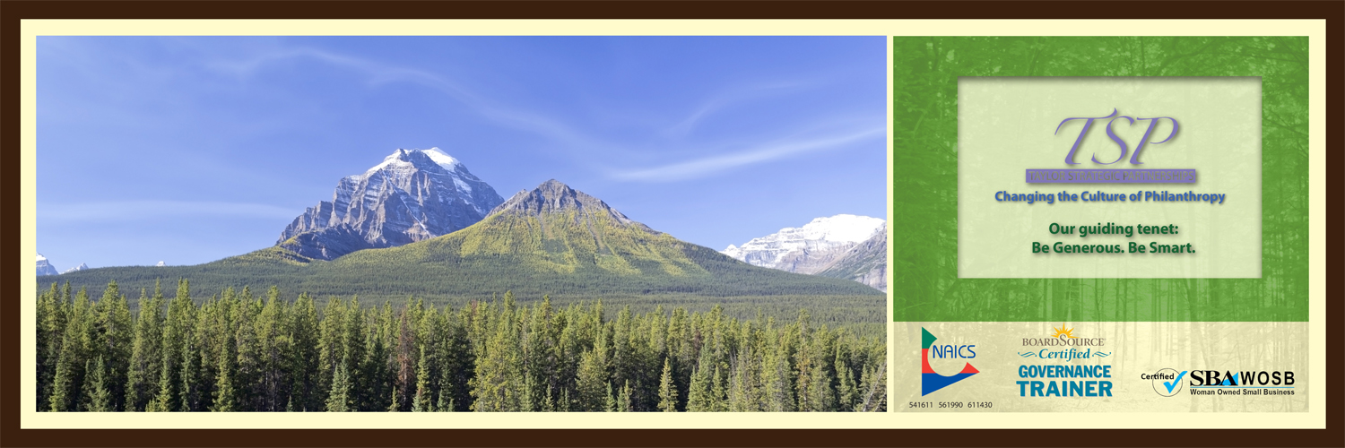 Diseño de Flyer por mari para Taylor Strategic Partnerships, LLC | Diseño #9891581