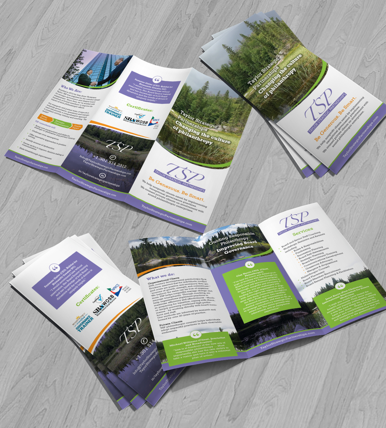 Diseño de Flyer por Achiver para Taylor Strategic Partnerships, LLC | Diseño #9830832