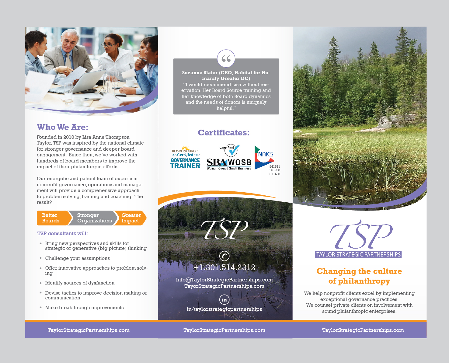 Flyer Design by Achiver for Taylor Strategic Partnerships, LLC | Design #9852622