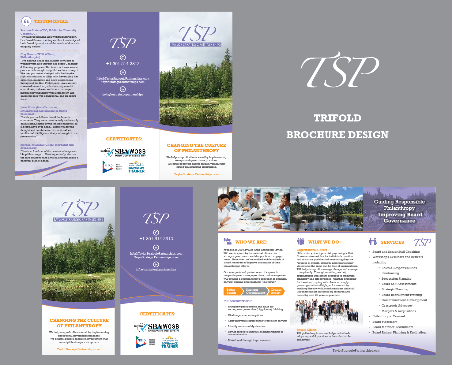 Flyer Design by Achiver for Taylor Strategic Partnerships, LLC | Design #9878189