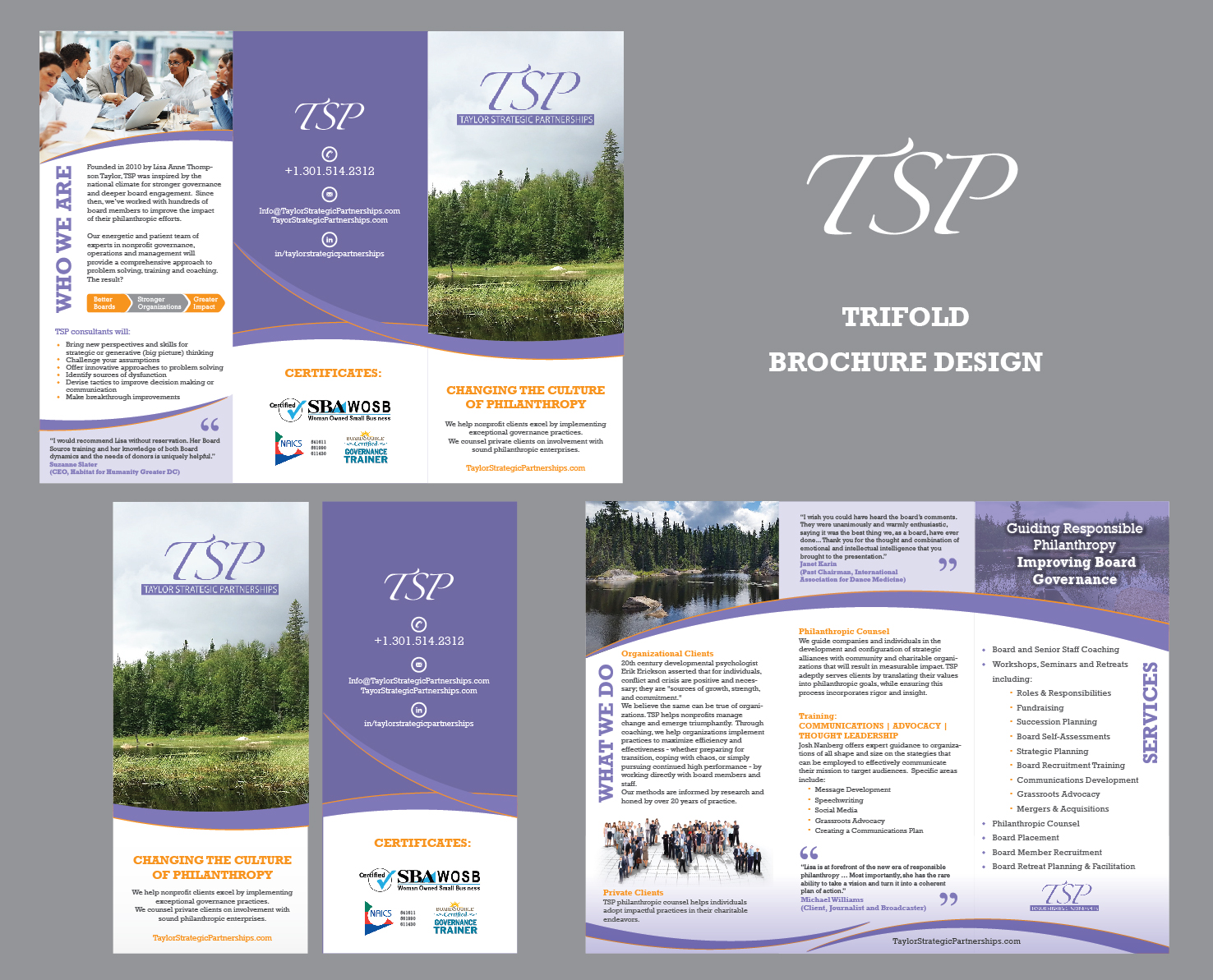 Flyer Design by Achiver for Taylor Strategic Partnerships, LLC | Design #9878346