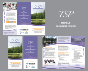 Flyer-Design von Achiver für Taylor Strategic Partnerships, LLC | Design: #9878346