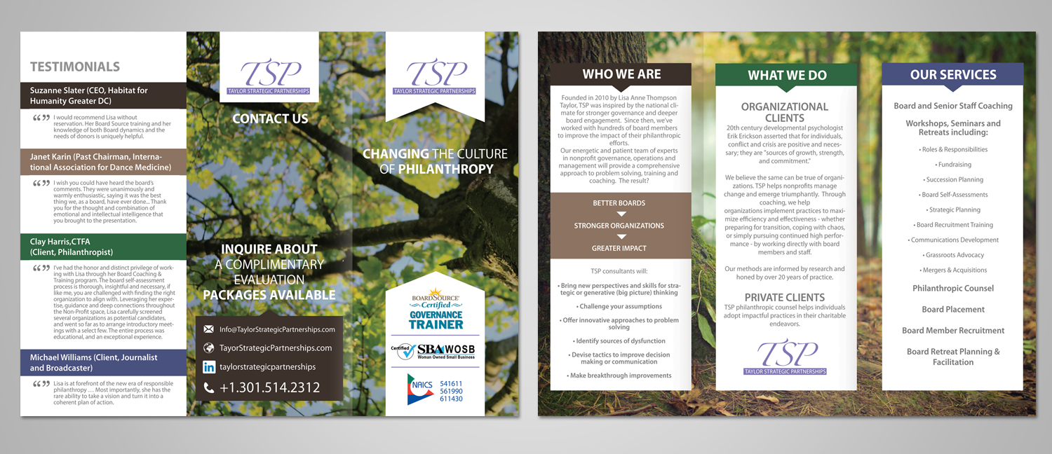 Diseño de Flyer por Victor_pro para Taylor Strategic Partnerships, LLC | Diseño #9837737