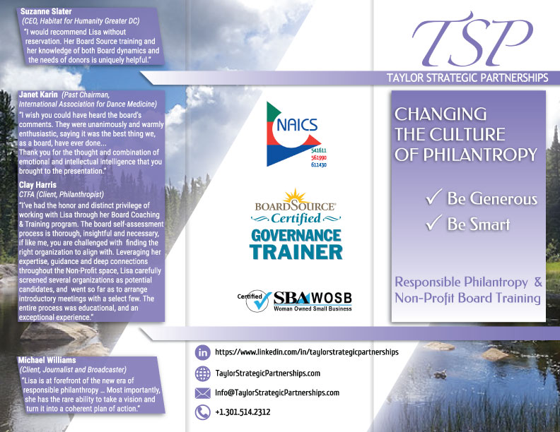 Flyer Design by Dragana for Taylor Strategic Partnerships, LLC | Design #9865301